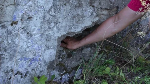 Found a German bayonet, Stock Footage 95229105
