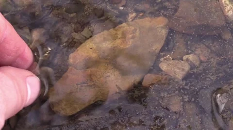 Found Indian arrowhead in river pick up Stock Footage 59085292