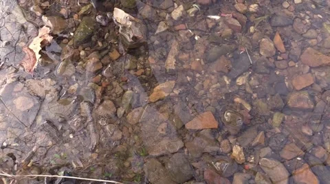 Found Indian arrowhead in river zoom in Stock Footage 59085034