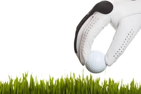 Found my golf ball Stock Photos