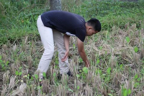 Found something down there 库存照片