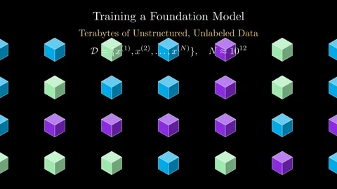 Foundation Model Training Stock Footage 338030215