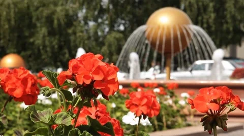 Fountain 019 Stock Footage 8665101