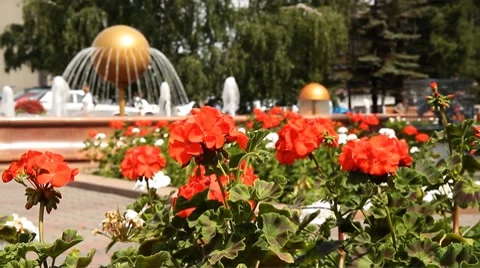 Fountain 023 Stock Footage 8665238