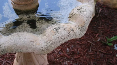 Fountain 1 Stock Footage 882834