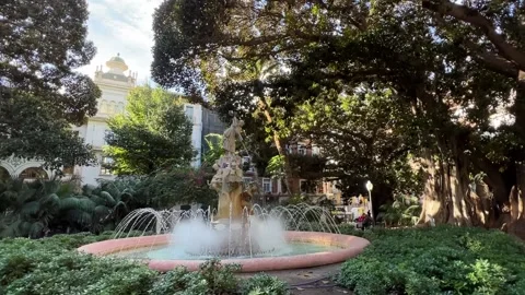 Fountain and big trees at Placa Gabriel Miro 库存影片 231136437