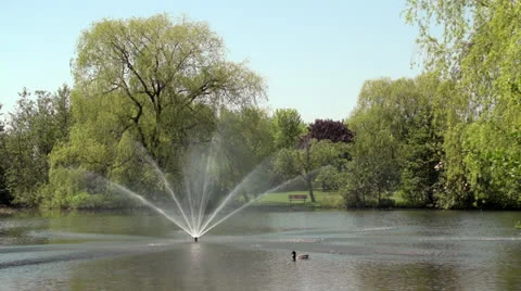 Fountain and Duck Stock Footage 24464751