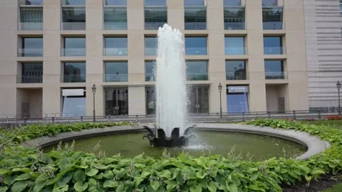 Fountain and Hosta Garden at Pariser Platz in Berlin Stock Footage 340141930