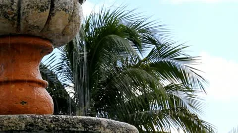 Fountain and Palm 스톡 동영상 12041765