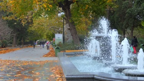 Fountain and wind Video stock 83686943