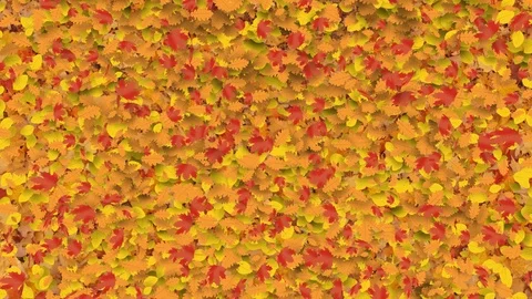 Fountain of autumn leaves Stock Footage 80451724