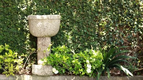 Fountain on the background of plants. Stock Photos