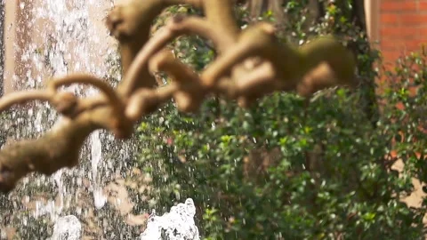 Fountain on background of tree branches Stock Footage 89862688