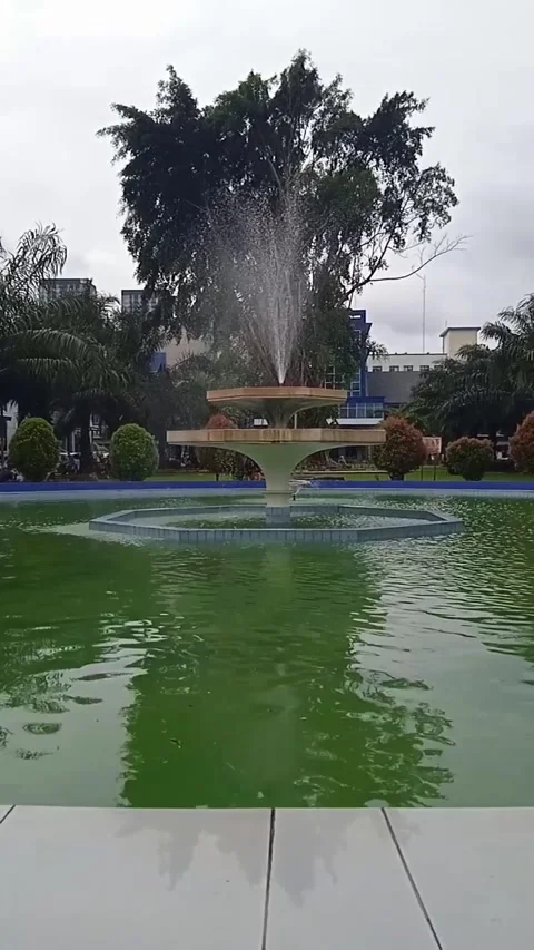 Fountain with banyan trees in the background 動画素材 228530450