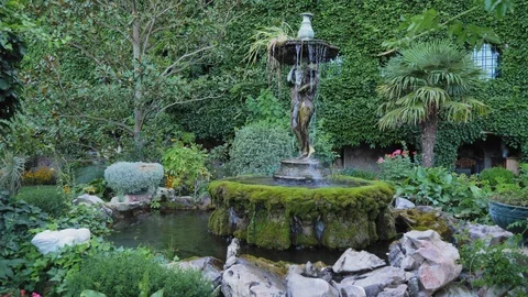 A fountain in a beautiful park Stock Footage 95493904