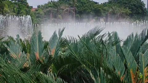 Fountain behind the green small trees. Stock Footage 158867313