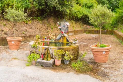 Fountain between two olive trees turn into sanctuary for a knows Stock Photos