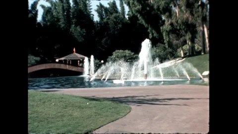 Fountain with Bridge and Swans Stock Footage 276290307