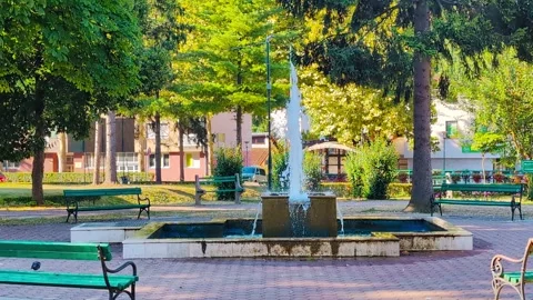 Fountain Calm Stock Footage 307370753