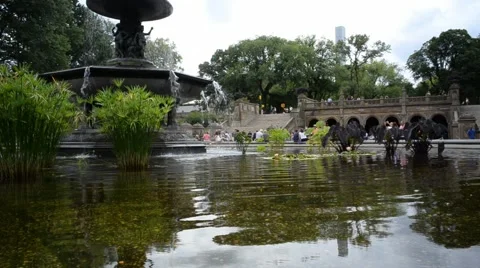Fountain in Central Park Stock Footage 54645561