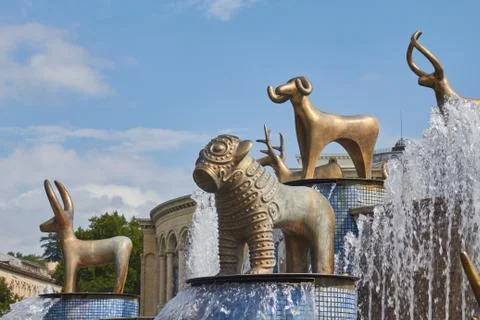 Fountain on central square Stock Photos