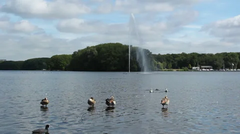 Fountain in a city park Stock Footage 28859935