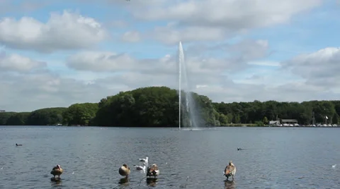 Fountain in a city park Stock Footage 28860049
