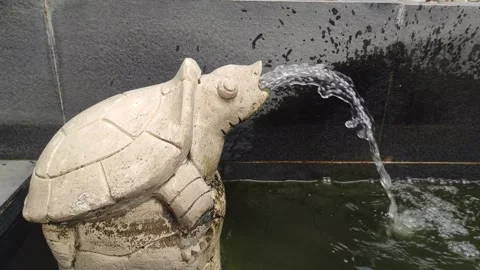 A fountain that comes out of a turtle statue to decorate the pool Stock Footage 277265208