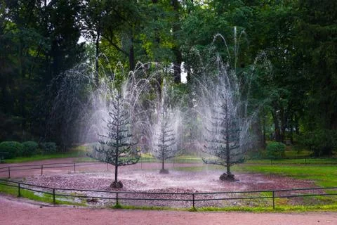 Fountain-cracker Oak tree in lower park of Peterhof in Saint Petersburg, Russ Foto stock