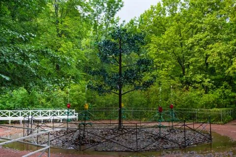 Fountain-cracker Oak tree in lower park of Peterhof in Saint Petersburg, Russ Foto stock