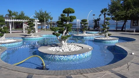 Fountain with curious trees in it Stock Footage 78910374