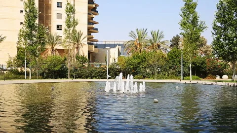 Fountain with doves Stock Footage 96598462