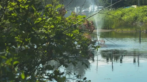 Fountain at a Duck Pond Stock Footage 40973960