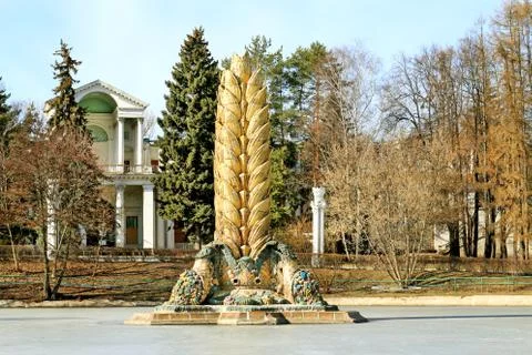 The fountain of ears corn Stock Photos