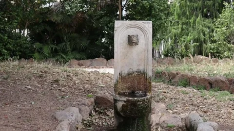 FOUNTAIN AT AN EMPTY PARK IN ROME ITALY Stock Footage 135346533
