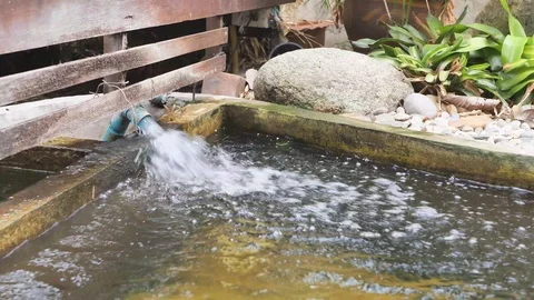 Fountain in the fish pond Stock Footage 108133687