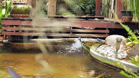 Fountain in the fish pond Stock Footage 108133701