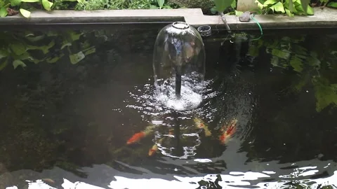 A fountain in a fish pond Stock Footage 132950173