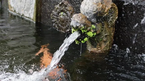 Fountain flows from the mouth. Stock Footage 274716745