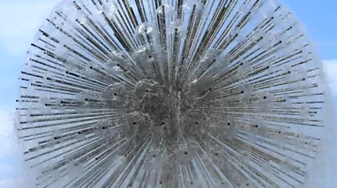Fountain Stock Footage 490928