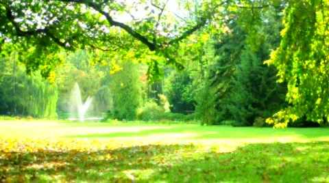 Fountain Video stock 533398