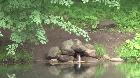 Fountain Stock Footage 908436
