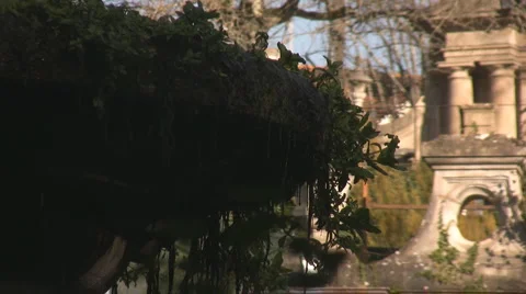 Fountain Stock Footage 1050553