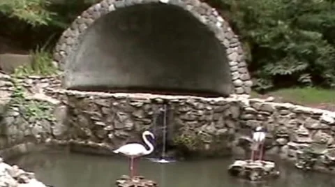 Fountain Stock Footage 1913805