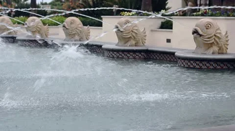 Fountain Video stock 10756811