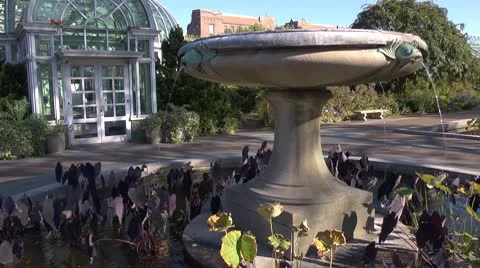 Fountain Stock Footage 10759836