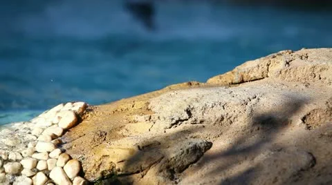 Fountain Video stock 11481409