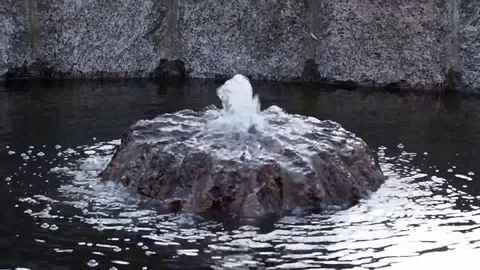 Fountain Stock Footage 89248121