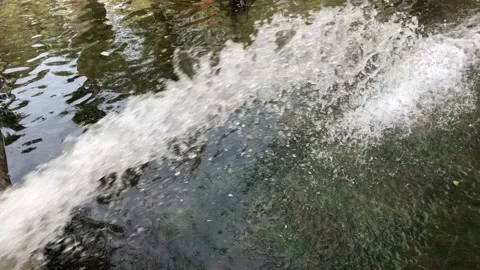 Fountain. Stock Footage 97387652