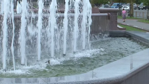 Fountain Stock Footage 107298609